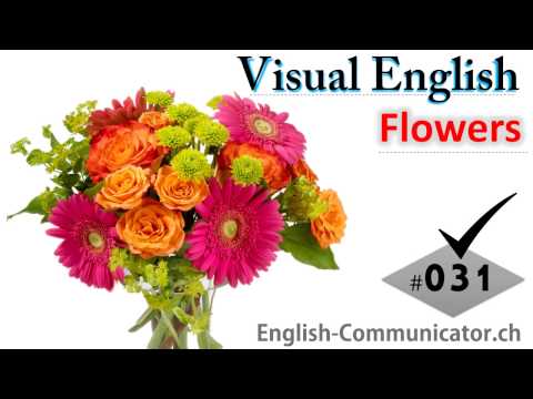 #031 Visual English Language Learning Practical Vocabulary Namaes of Flowers Part 1